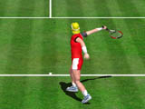 grass tennis court